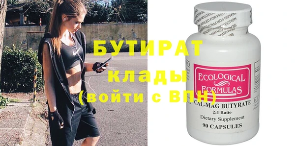 сатива Новозыбков