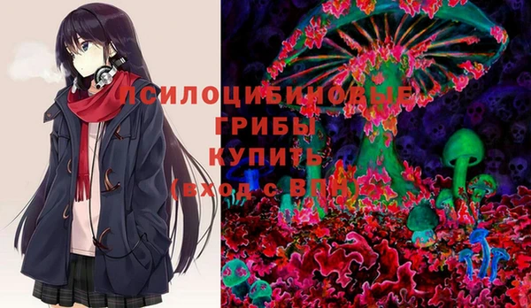 сатива Новозыбков