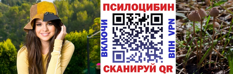 Купить где  Рубцовск  Псилоцибиновые грибы Magic Shrooms 